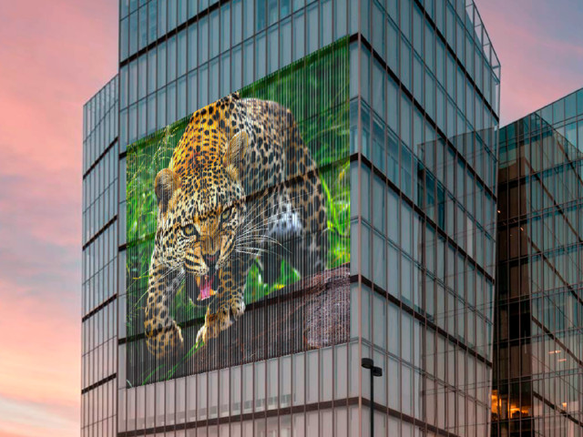 YASHI Murales